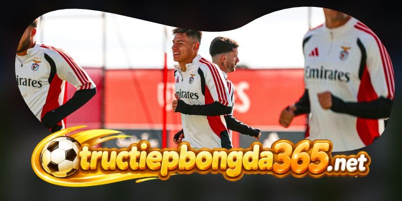 Gợi ý chốt kèo tổng hợp trận Santa Clara vs Benfica ngày 27/10