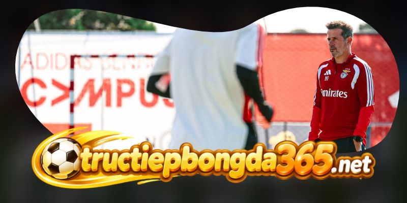 Nhận Định Santa Clara Vs Benfica 01h45 27/10